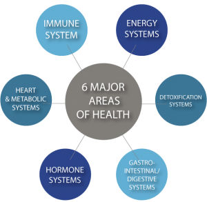 6 Major Areas of Health seen from Functional Medicine doctors.